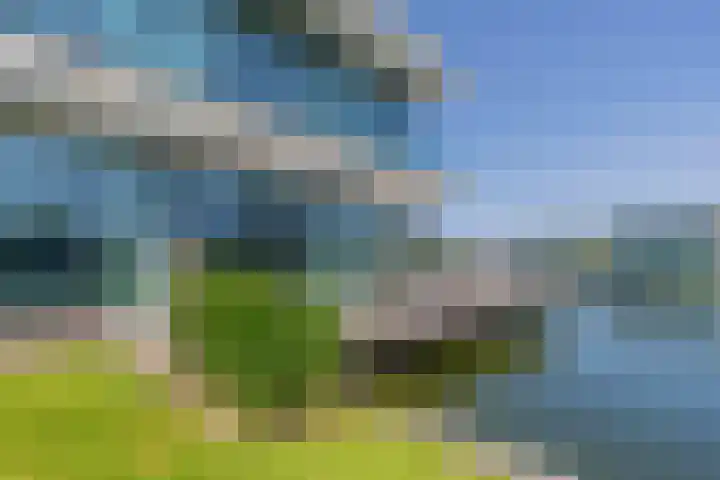 Langerakpolderweg 13 Arnemuiden thumbnail 4