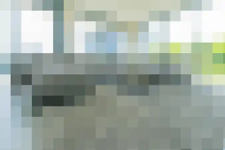 Langerakpolderweg 13 Arnemuiden thumbnail 9