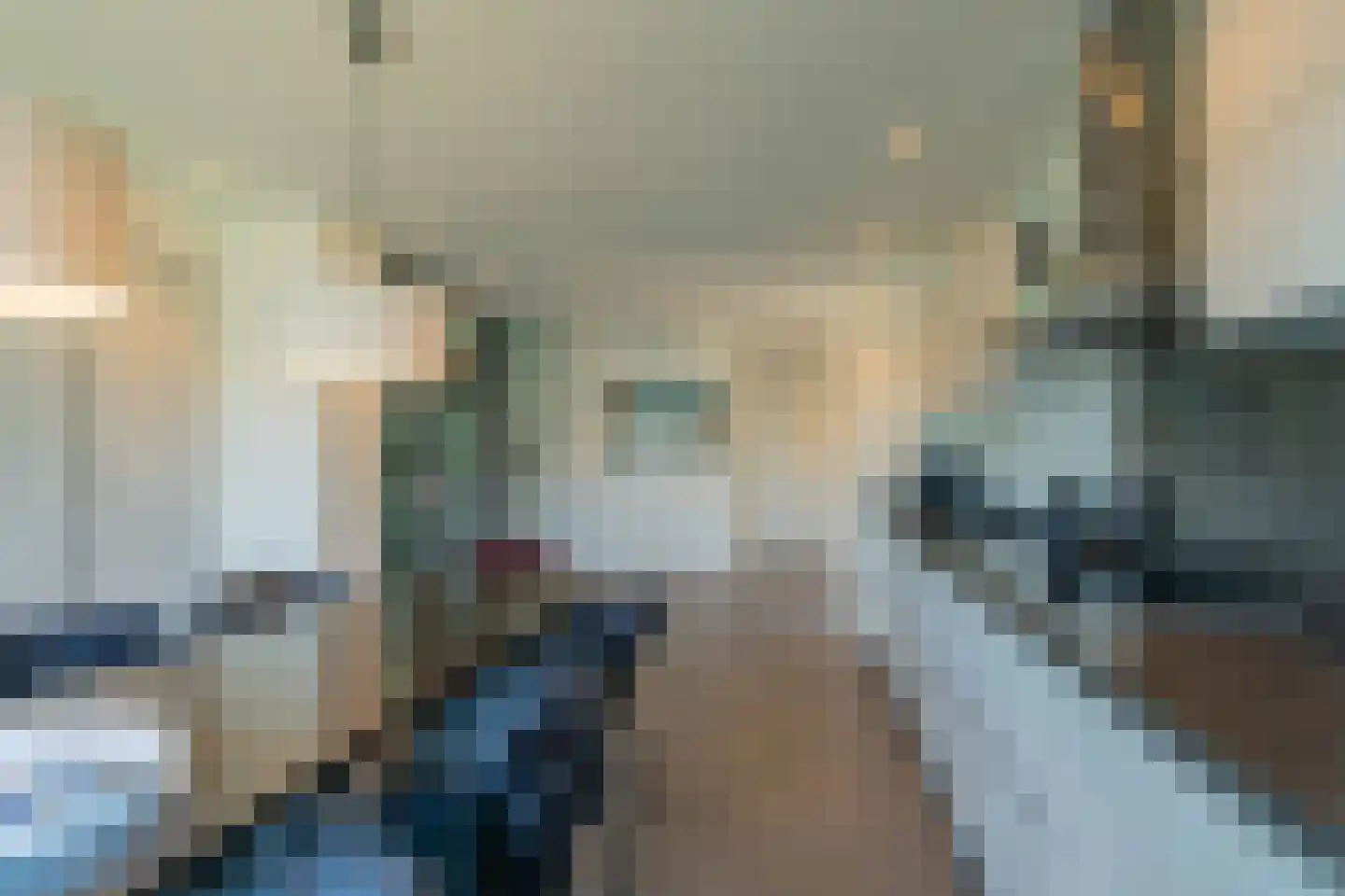 Langerakpolderweg 15 Arnemuiden thumbnail 12