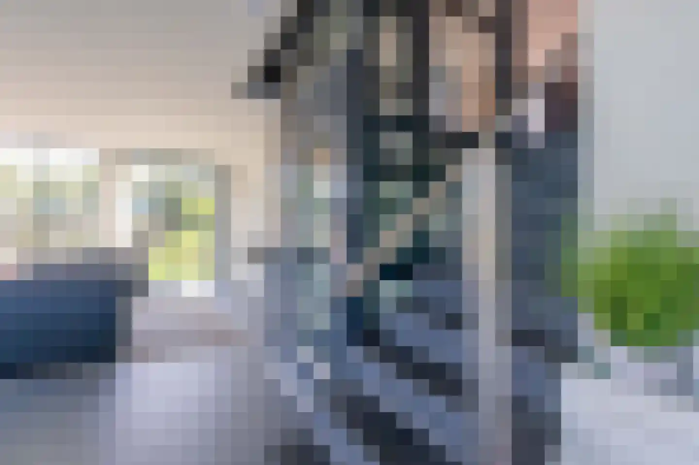 Langerakpolderweg 15 Arnemuiden thumbnail 16