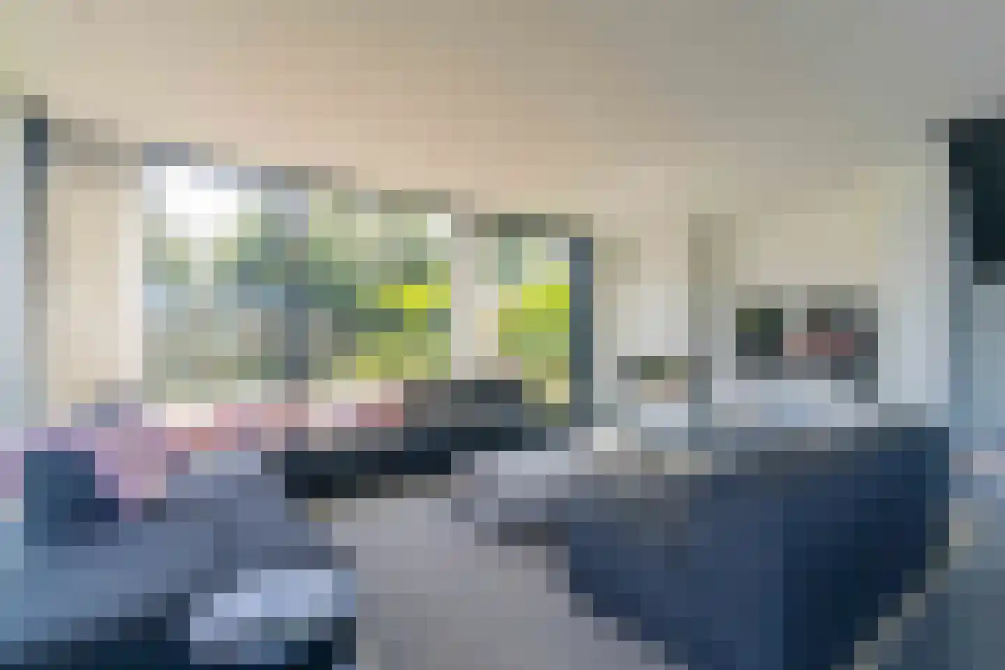 Langerakpolderweg 15 Arnemuiden thumbnail 18