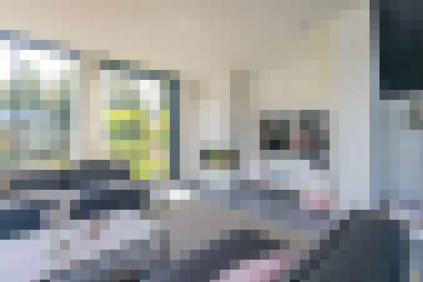 Langerakpolderweg 15 Arnemuiden thumbnail 19