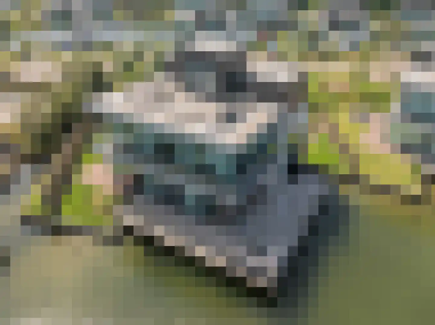 Langerakpolderweg 15 Arnemuiden thumbnail 4