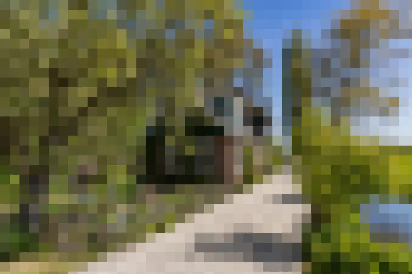 Langereis 12 in Hoogwoud