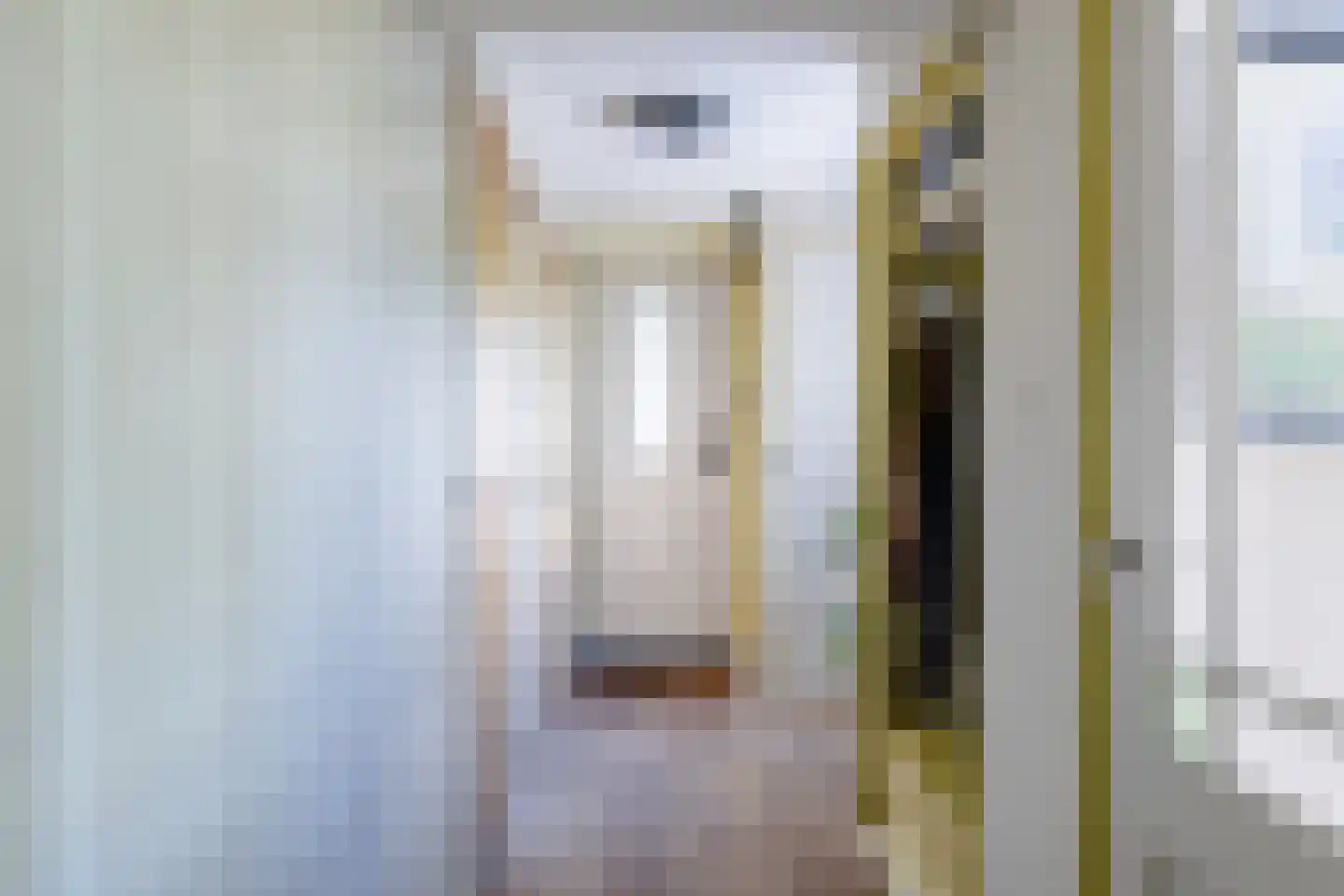 Langereis 12 Hoogwoud thumbnail 10