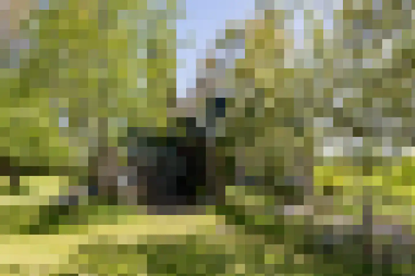Langereis 12 Hoogwoud thumbnail 22