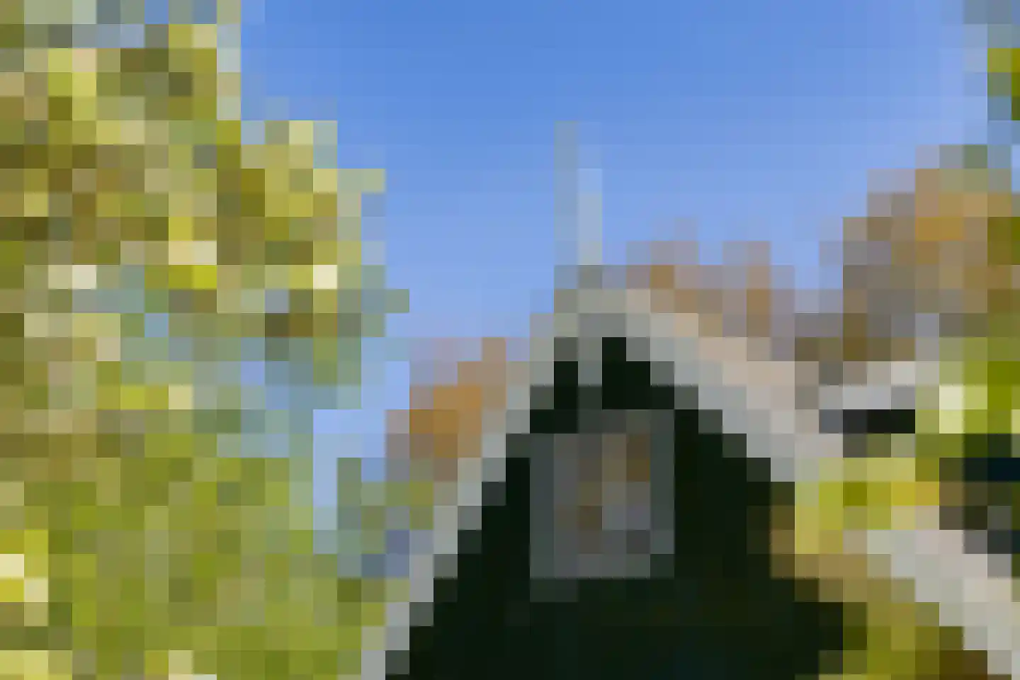 Langereis 12 Hoogwoud thumbnail 23