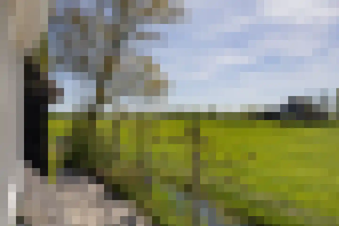 Langereis 12 Hoogwoud thumbnail 24
