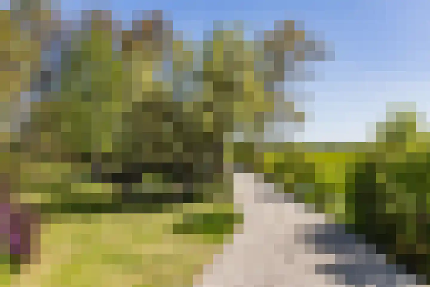 Langereis 12 Hoogwoud thumbnail 25