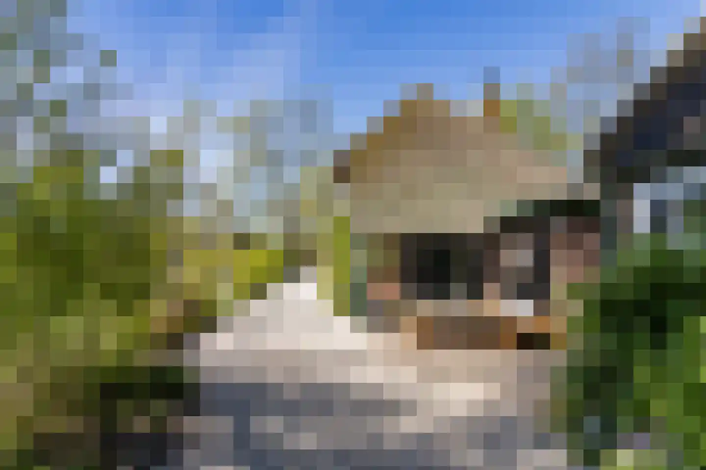 Langereis 12 Hoogwoud thumbnail 28