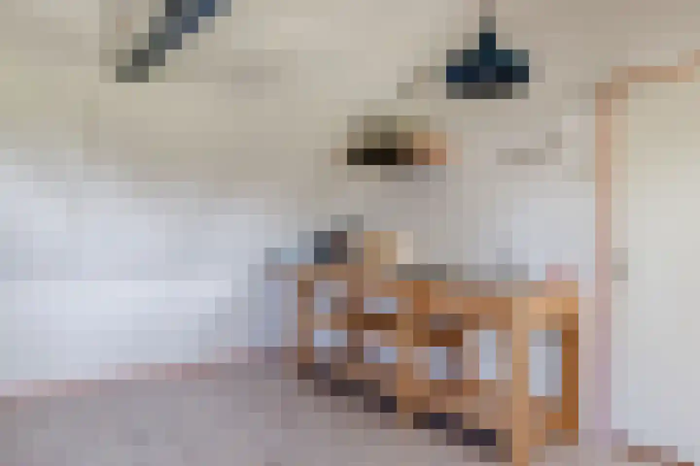 Langereis 12 Hoogwoud thumbnail 35
