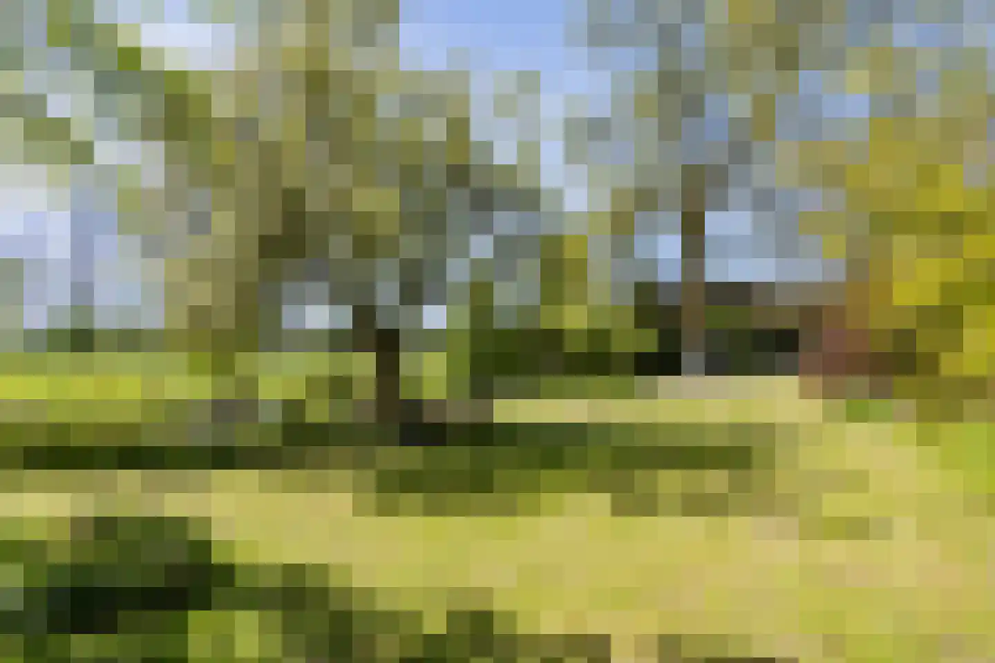 Langereis 12 Hoogwoud thumbnail 39