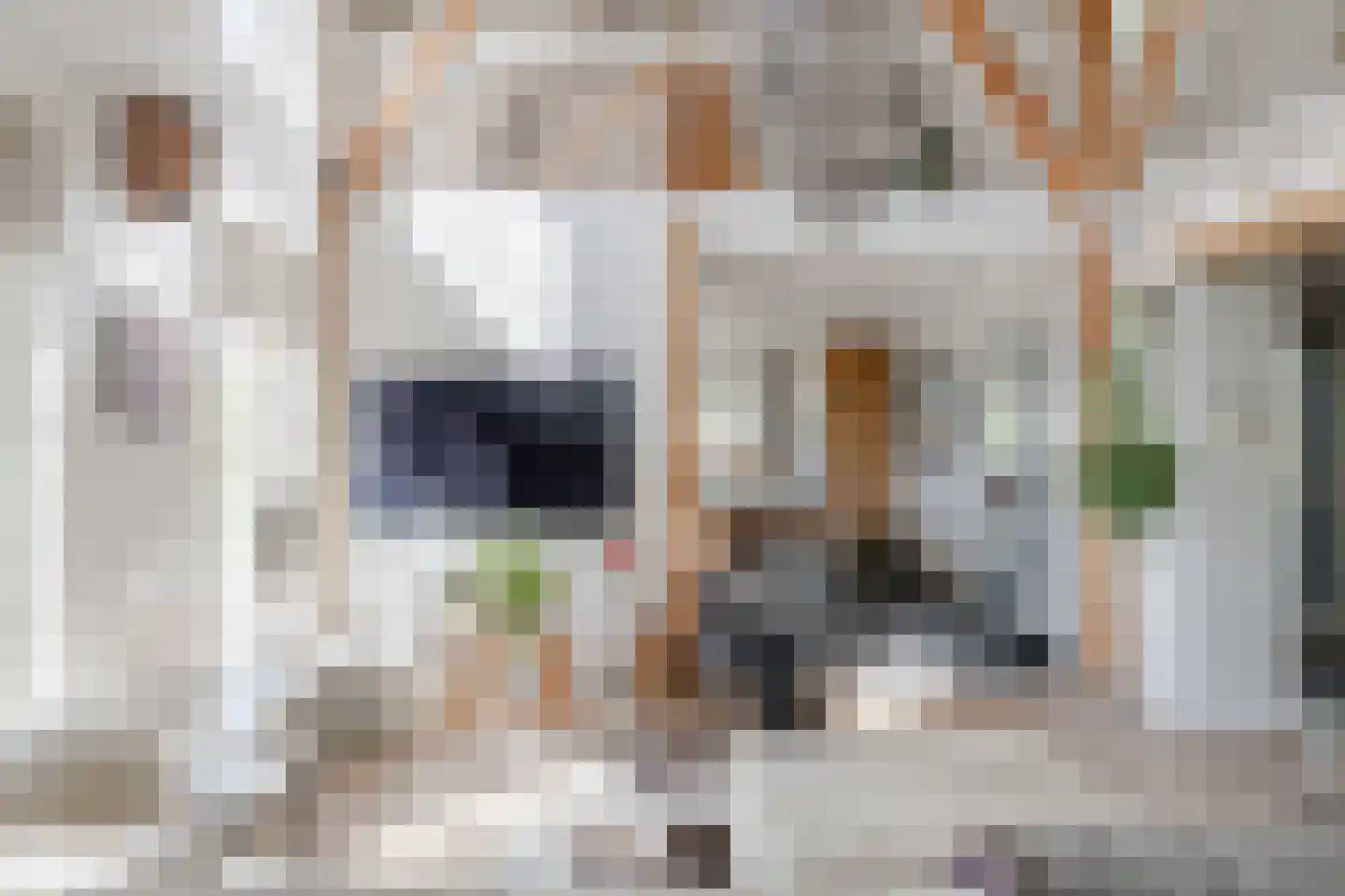 Langereis 12 Hoogwoud thumbnail 4