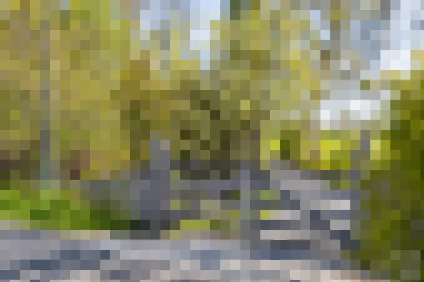 Langereis 12 Hoogwoud thumbnail 40