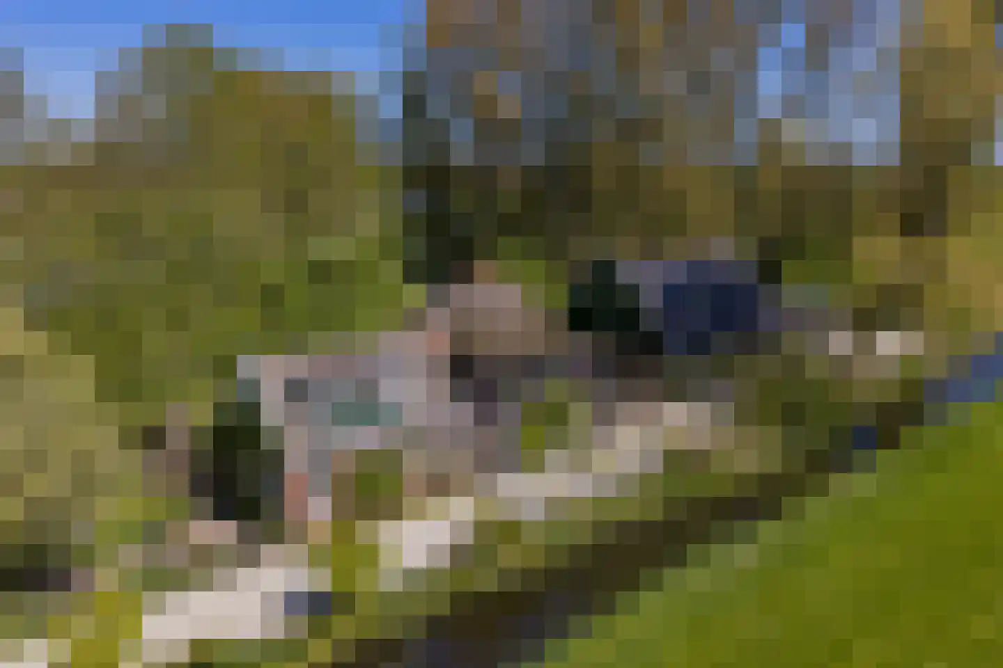 Langereis 12 Hoogwoud thumbnail 41