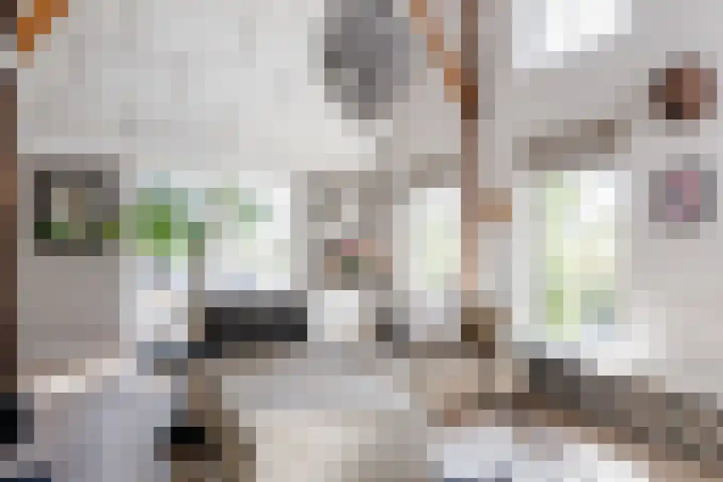 Langereis 12 Hoogwoud thumbnail 5