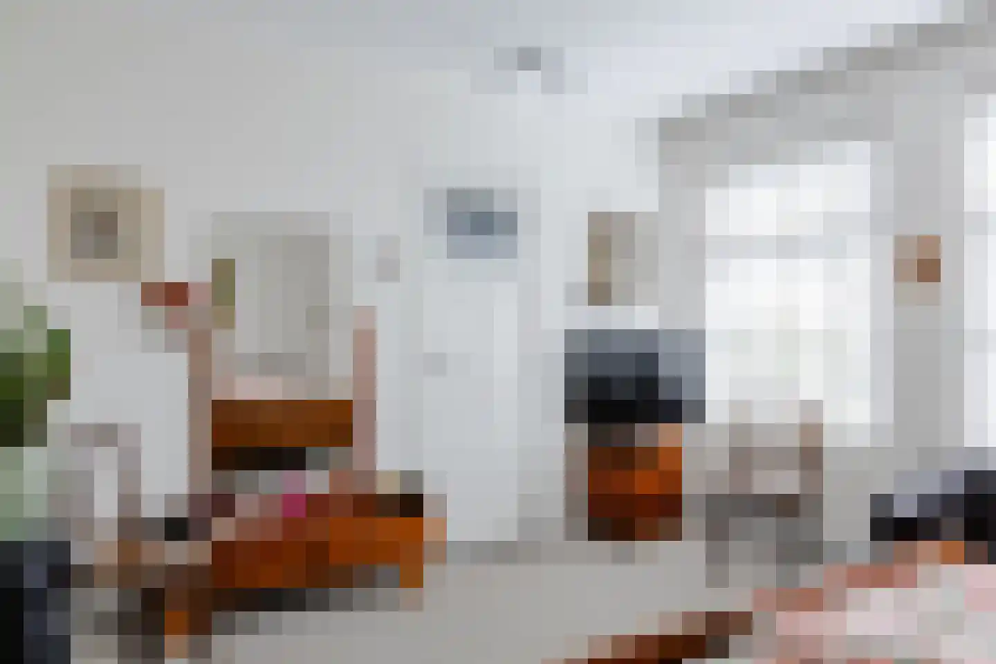 Langereis 12 Winkel thumbnail 18