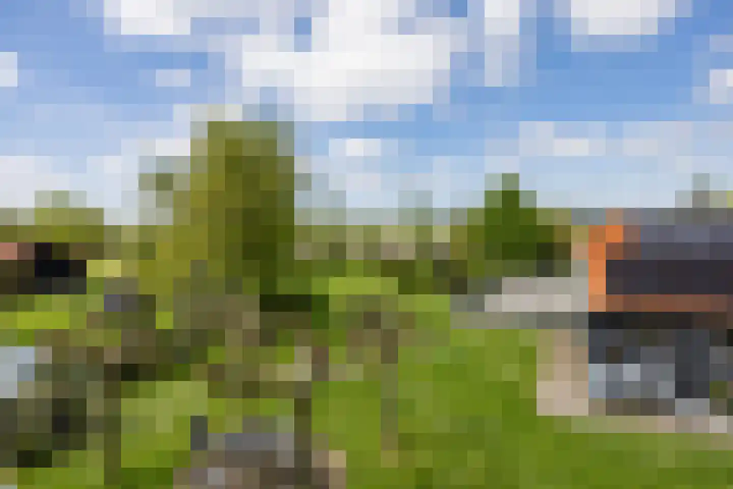 Langereis 12 Winkel thumbnail 33