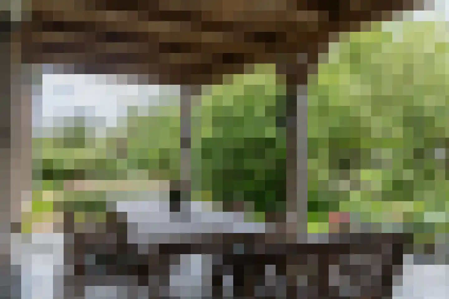 Langereis 12 Winkel thumbnail 36