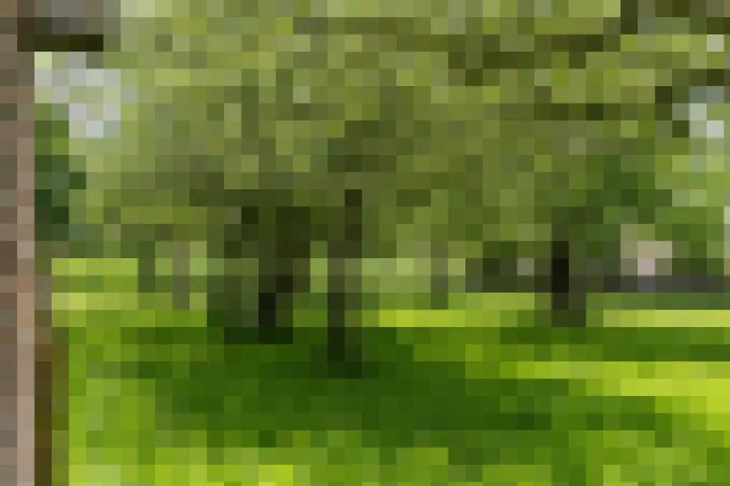 Langereis 12 Winkel thumbnail 39