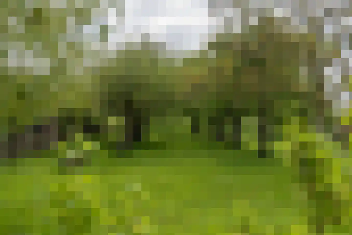 Langereis 12 Winkel thumbnail 40