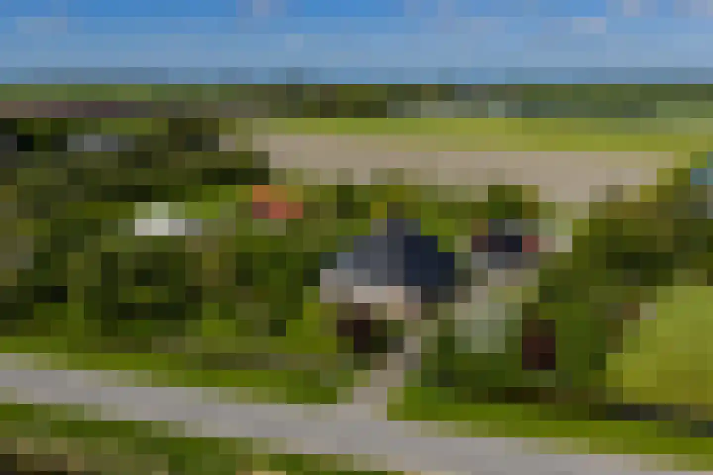 Langereis 12 Winkel thumbnail 47