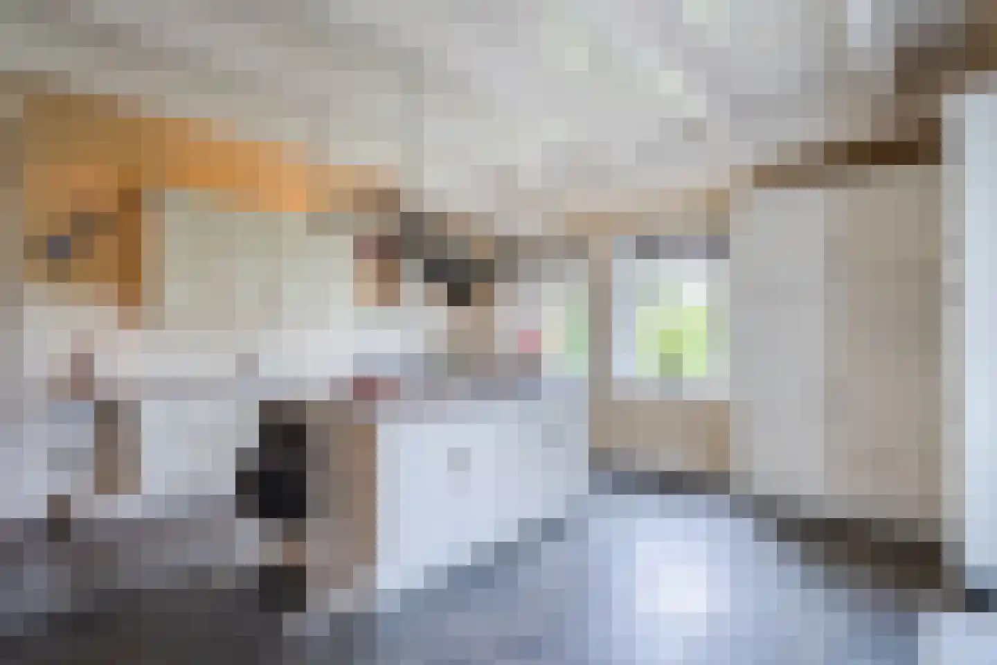 Langereis 56 Nieuwe Niedorp thumbnail 16