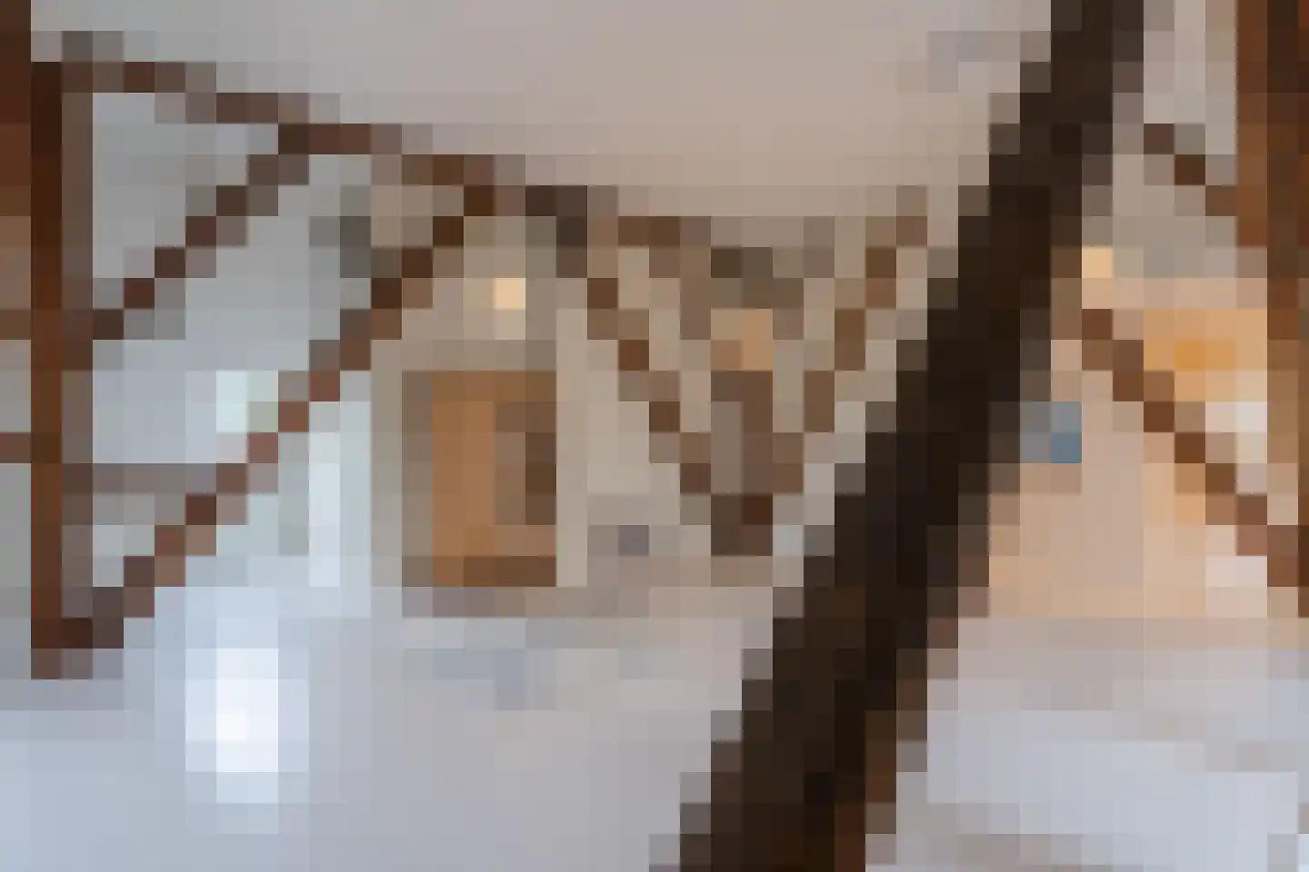 Langereis 56 Nieuwe Niedorp thumbnail 27