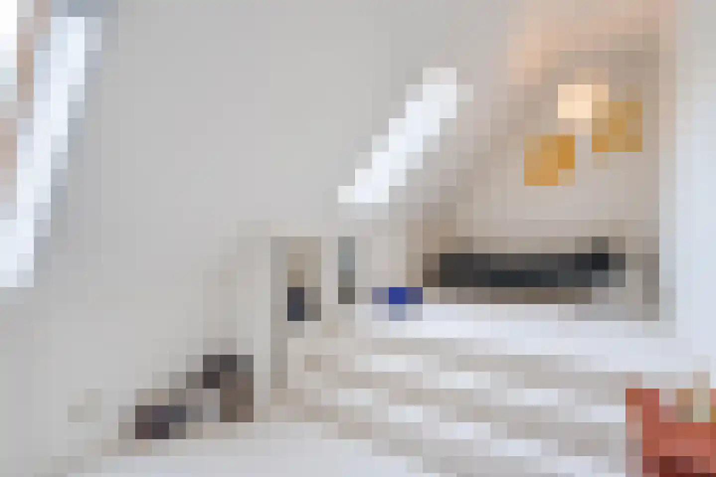 Langereis 56 Nieuwe Niedorp thumbnail 31
