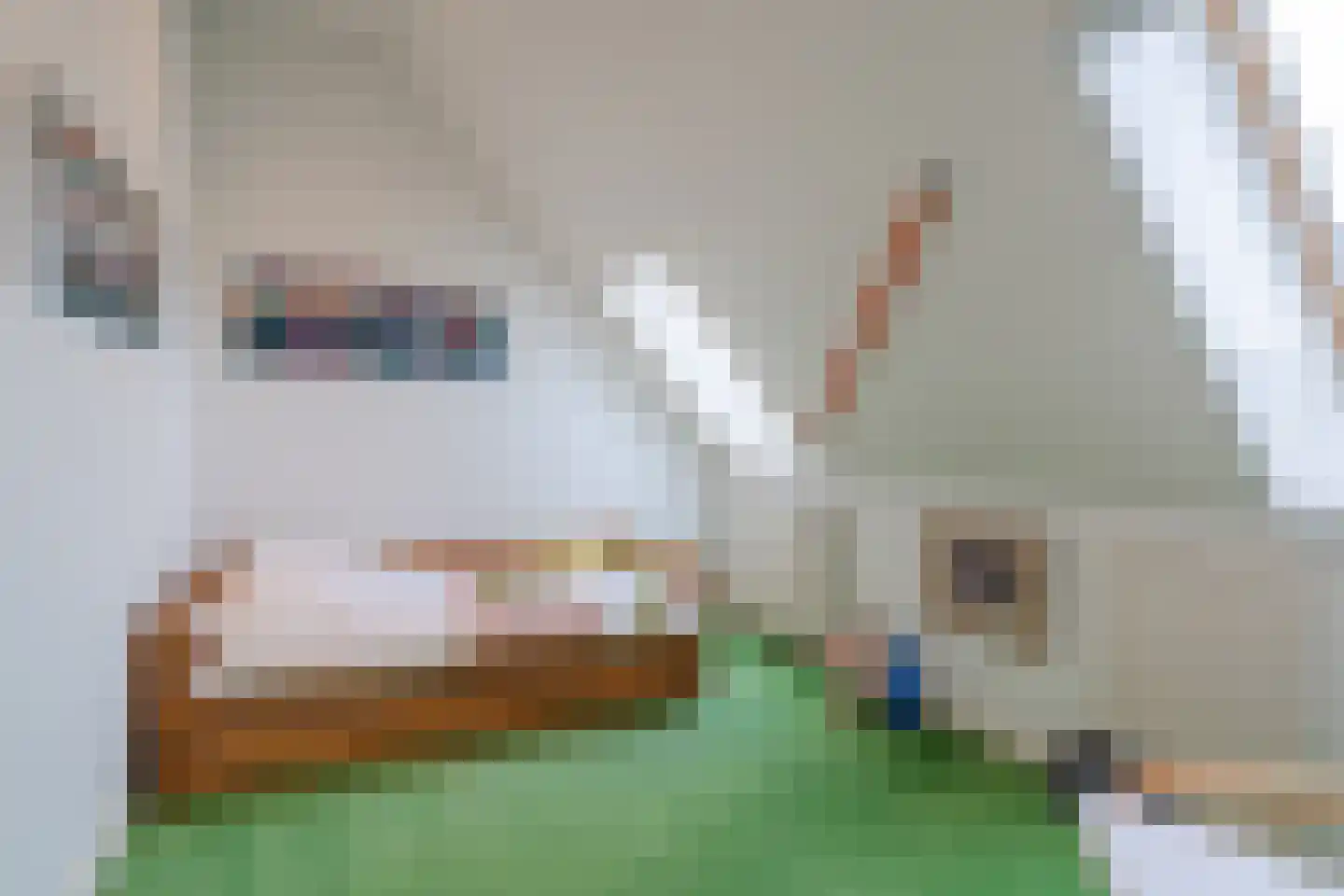 Langereis 56 Nieuwe Niedorp thumbnail 33