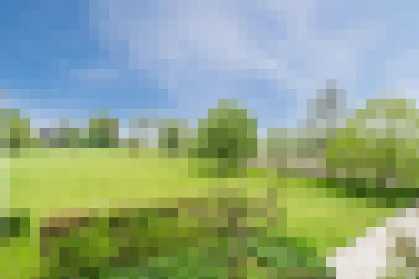 Langereis 56 Nieuwe Niedorp thumbnail 39