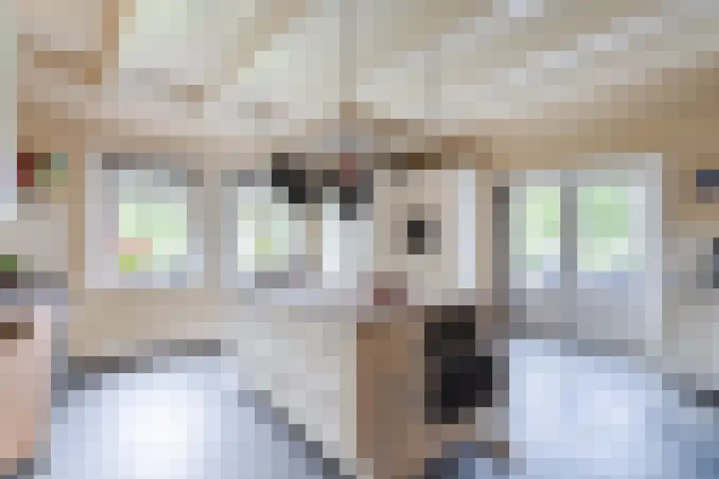 Langereis 56 Nieuwe Niedorp thumbnail 4