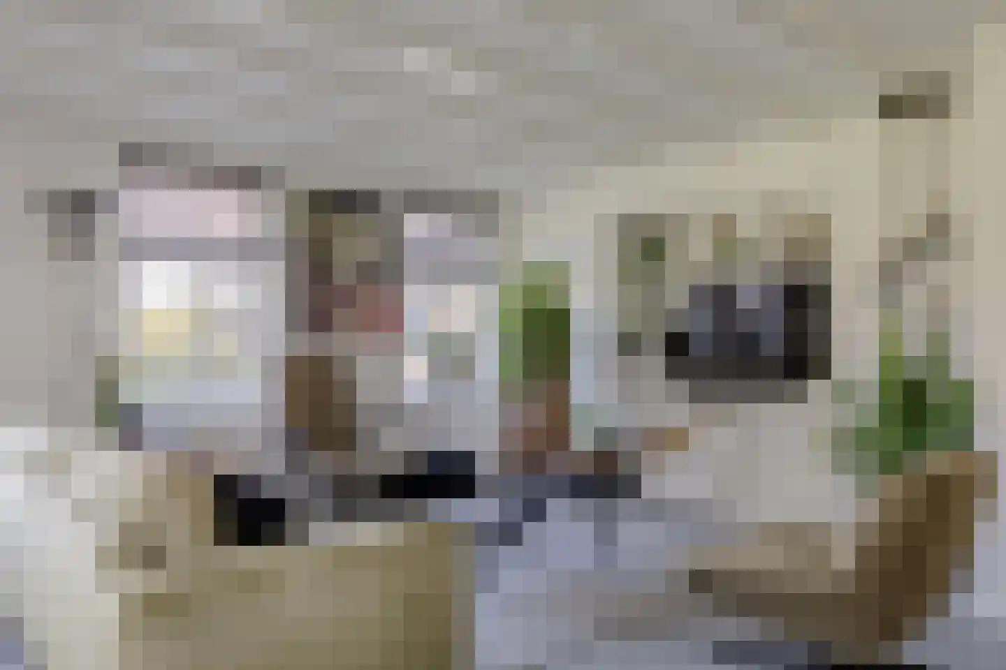 Langereis 92 Nieuwe Niedorp thumbnail 13