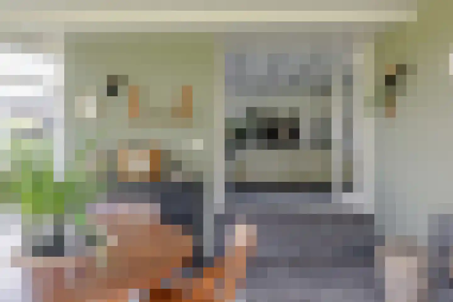 Langereis 92 Nieuwe Niedorp thumbnail 14