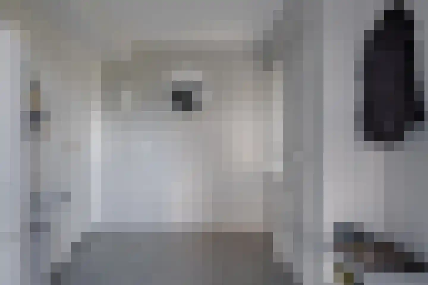 Langereis 92 Nieuwe Niedorp thumbnail 17