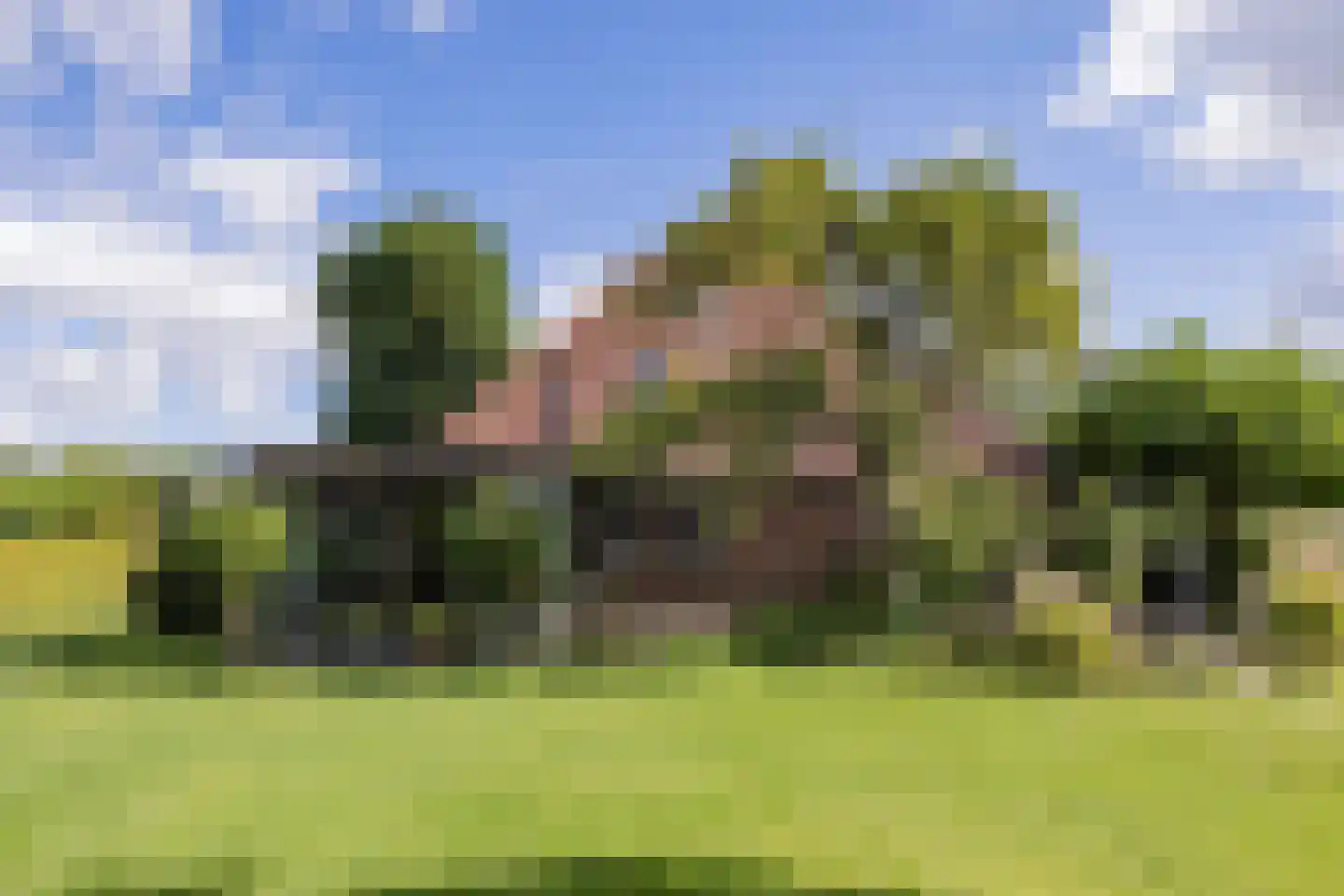 Langereis 92 Nieuwe Niedorp foto 3