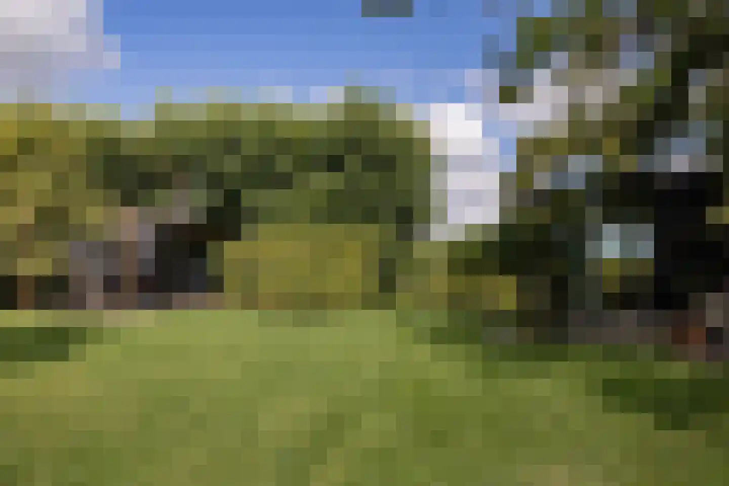 Langereis 92 Nieuwe Niedorp thumbnail 37