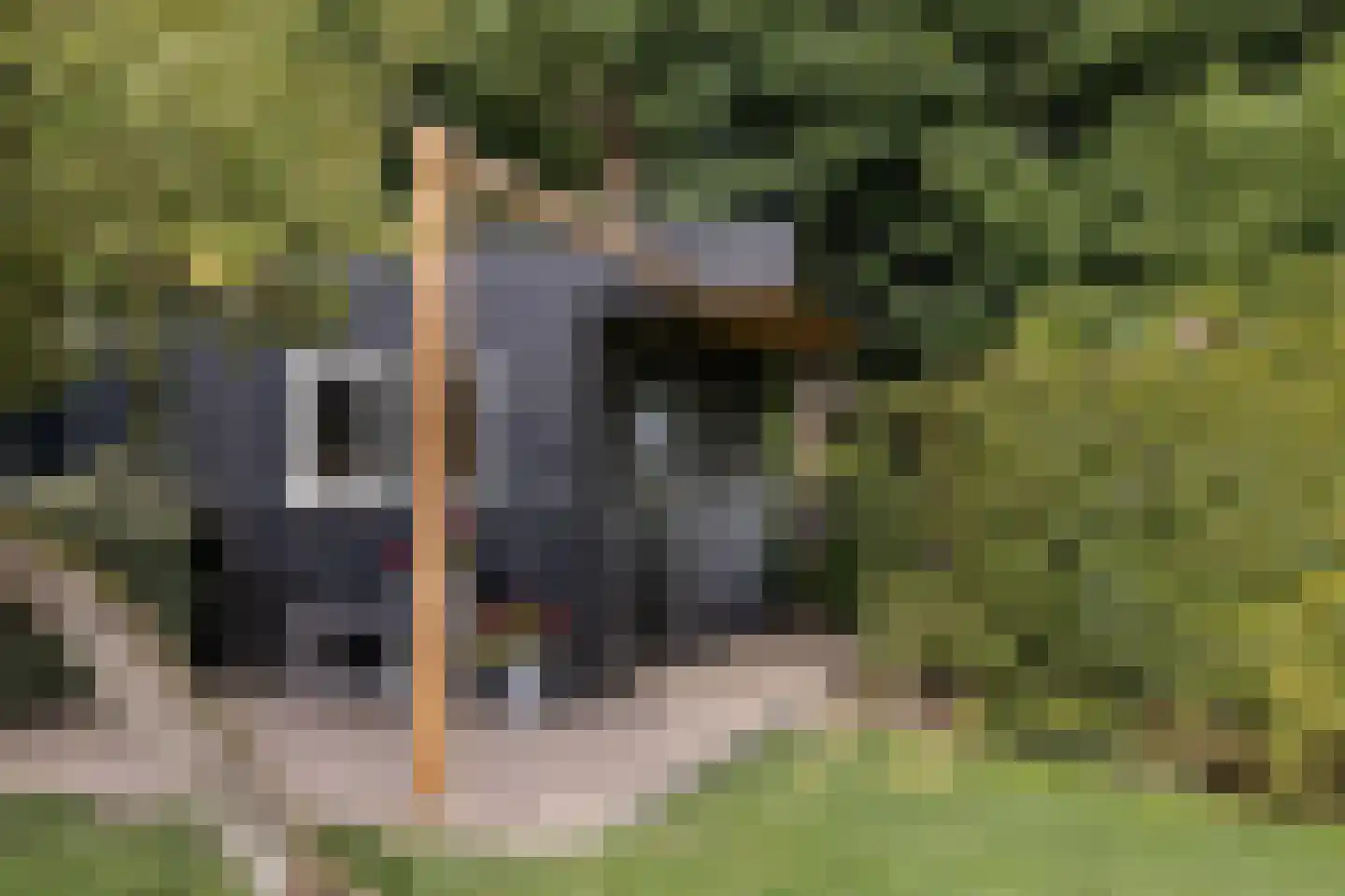 Langereis 92 Nieuwe Niedorp thumbnail 38