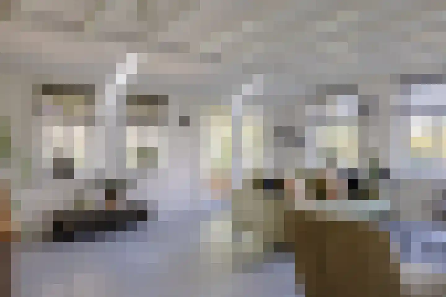 Langereis 92 Nieuwe Niedorp thumbnail 4