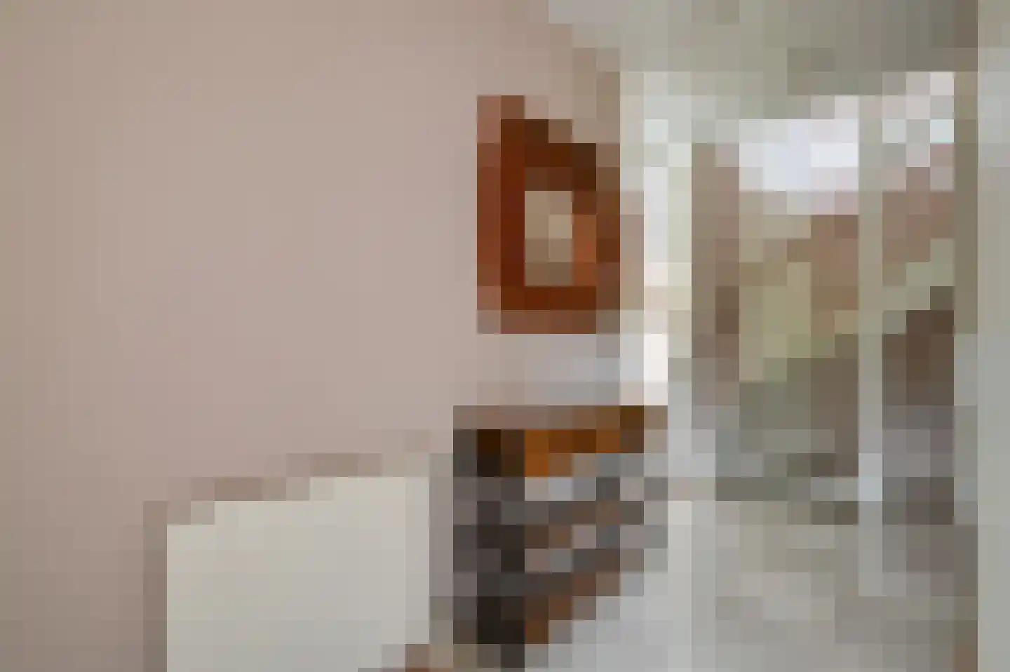Langerijst 4 Hooglanderveen thumbnail 13