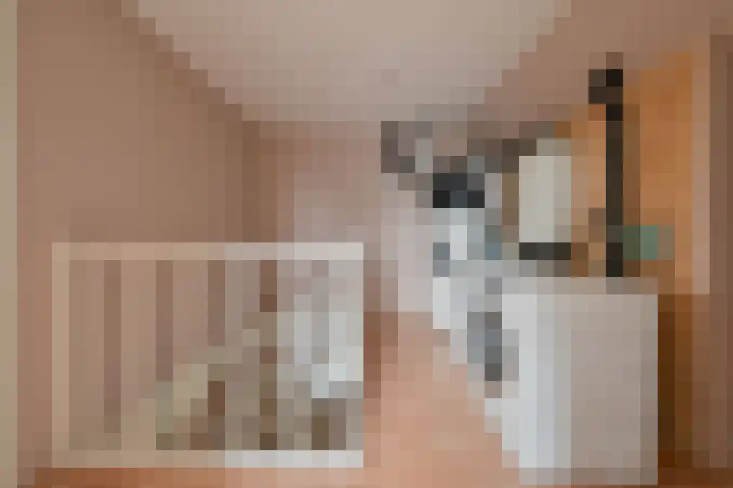 Langerijst 4 Hooglanderveen thumbnail 28