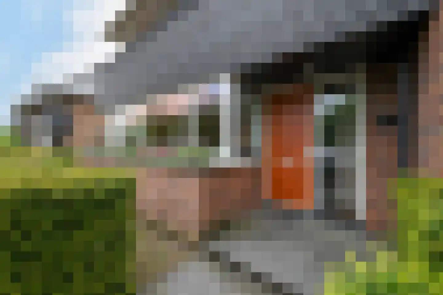 Langerijst 4 Hooglanderveen thumbnail 35