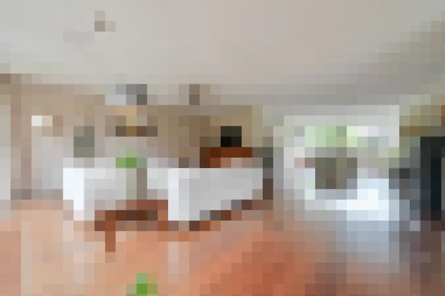 Langerijst 4 Hooglanderveen thumbnail 5