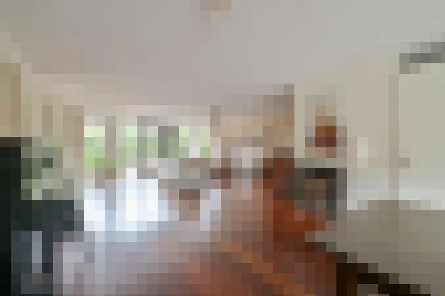 Langerijst 4 Hooglanderveen thumbnail 6