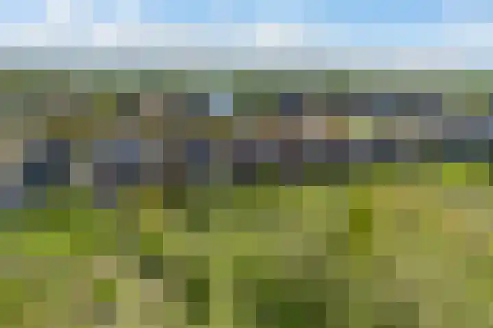 Langesân 148 Leeuwarden thumbnail 52