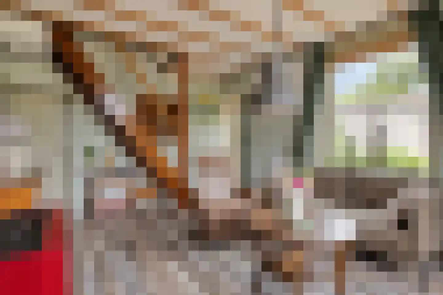 Langeslag 14 Heerde thumbnail 11