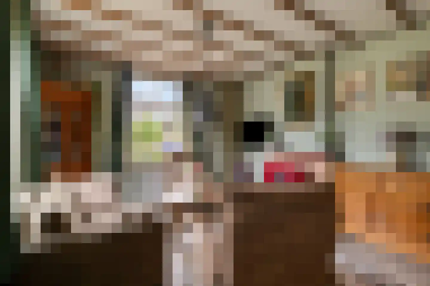 Langeslag 14 Heerde thumbnail 12