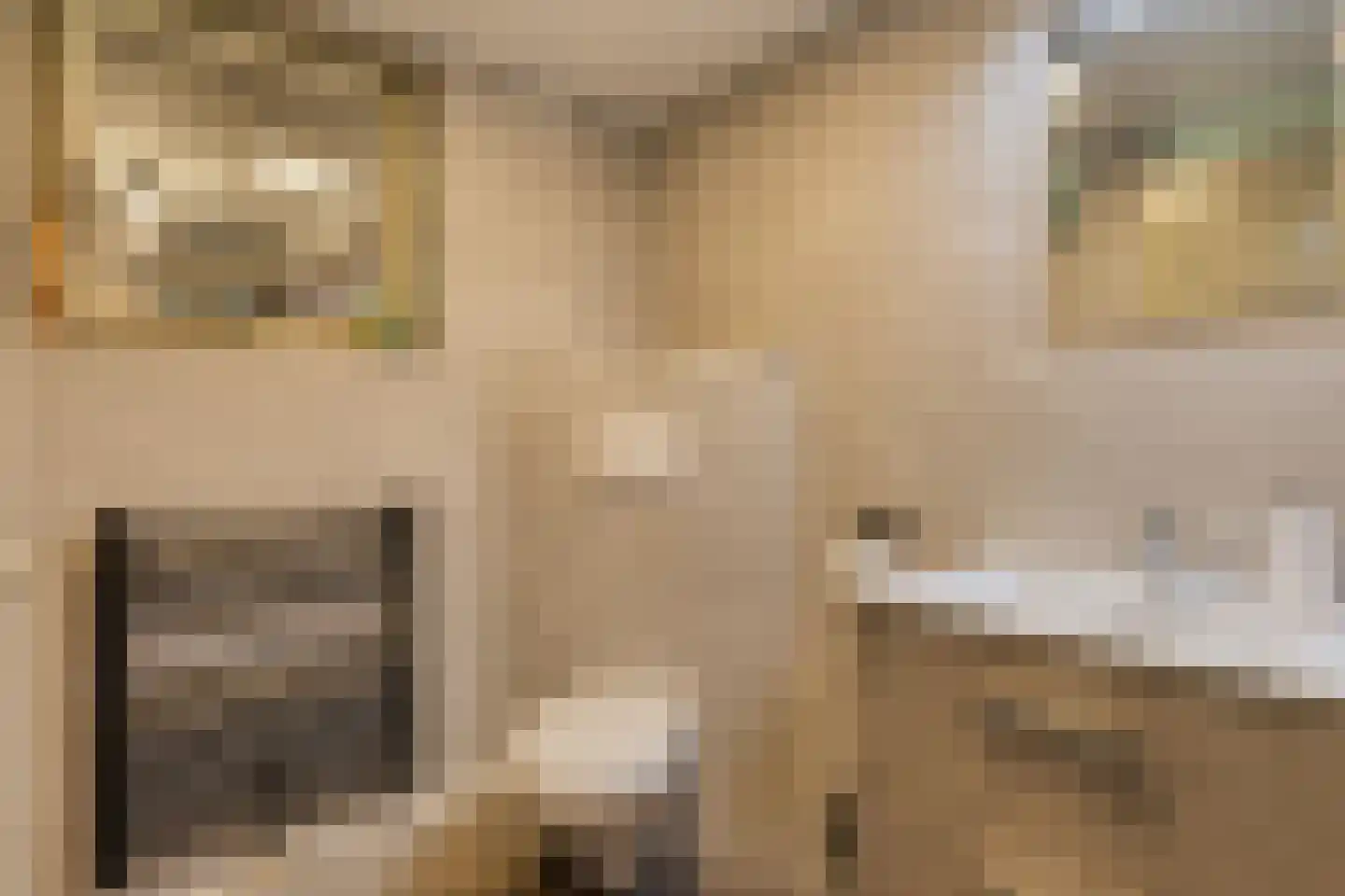 Langeslag 14 Heerde thumbnail 30