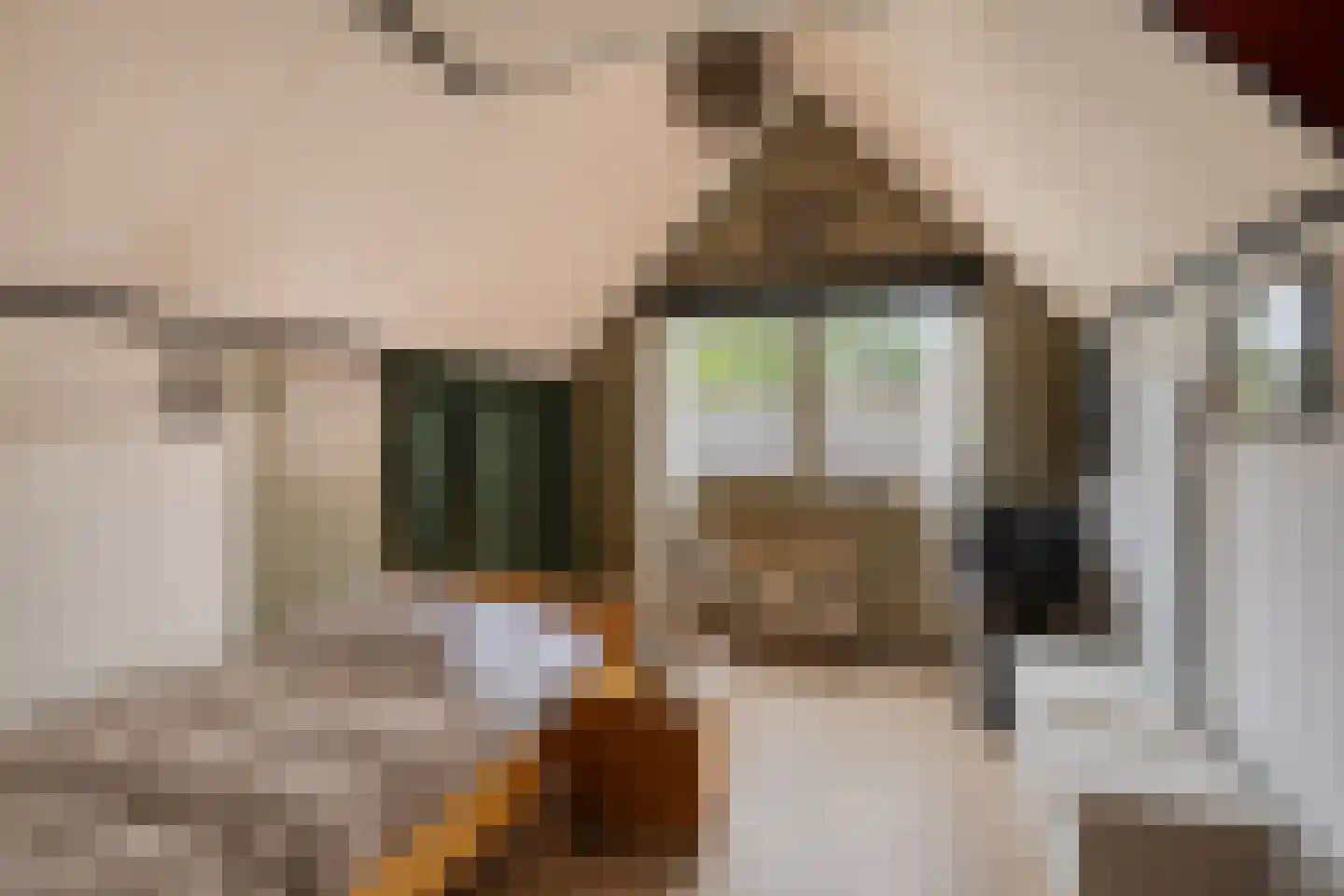 Langeslag 14 Heerde thumbnail 36