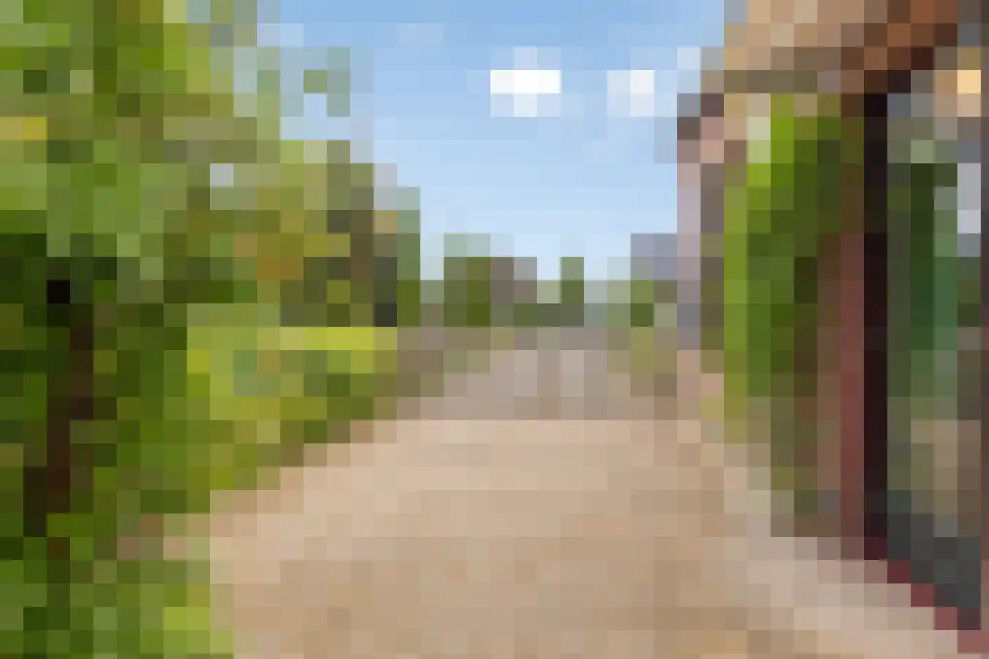 Langeslag 14 Heerde thumbnail 6